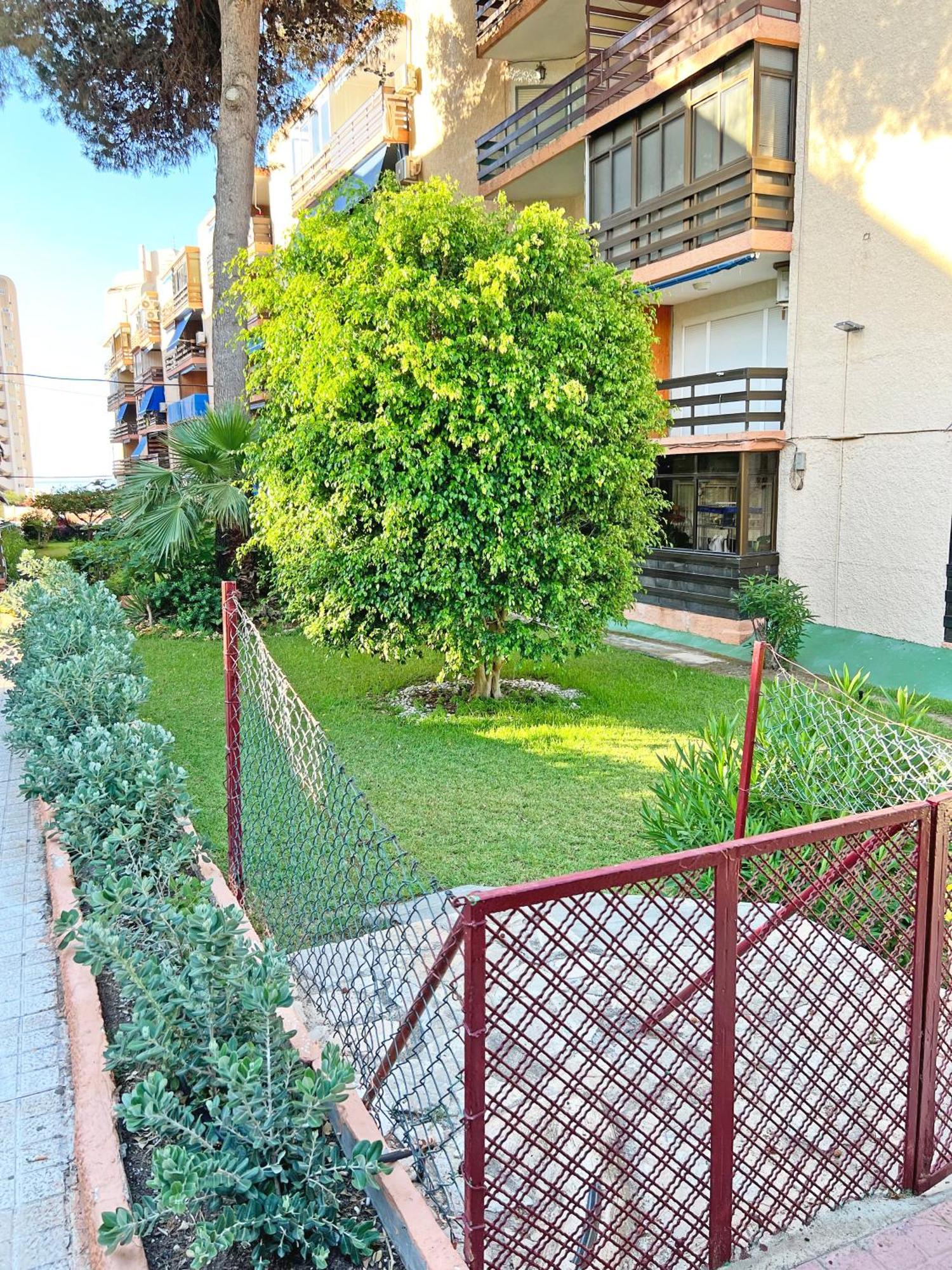 Coqueto Con Piscina, Nuevo A 50M Del Mar, Parking Gratis Apartman El Campello Kültér fotó