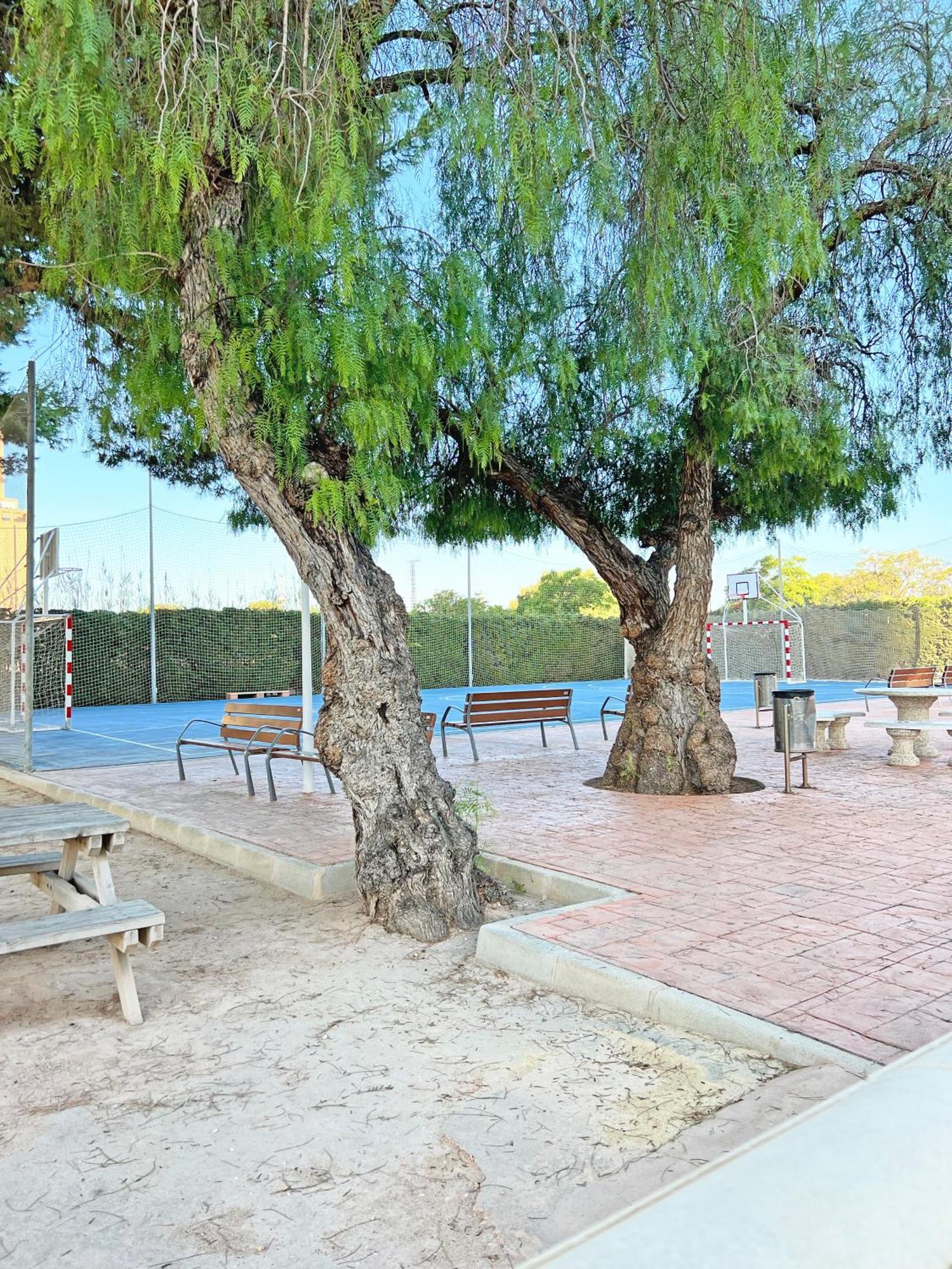 Coqueto Con Piscina, Nuevo A 50M Del Mar, Parking Gratis Apartman El Campello Kültér fotó