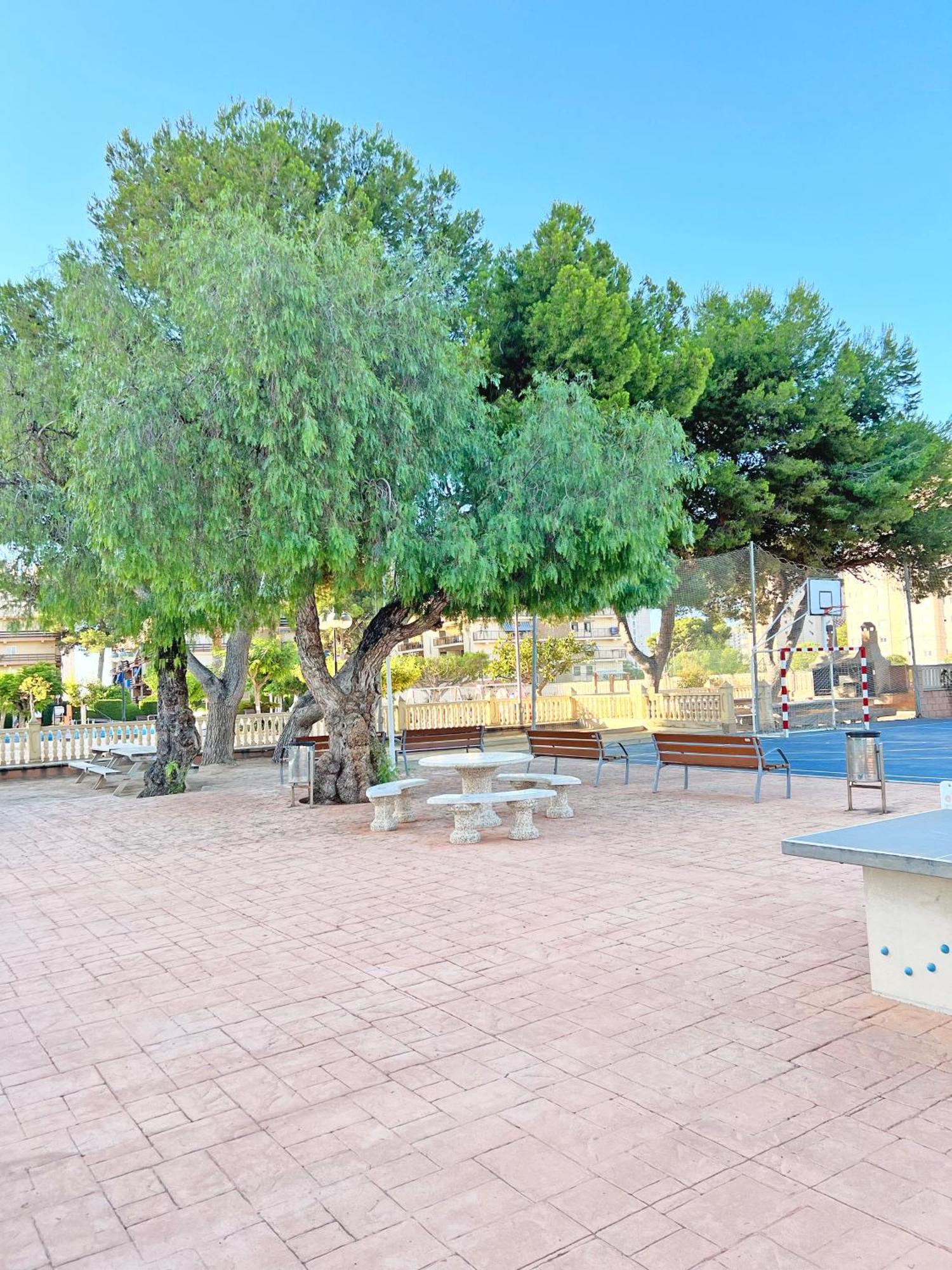 Coqueto Con Piscina, Nuevo A 50M Del Mar, Parking Gratis Apartman El Campello Kültér fotó